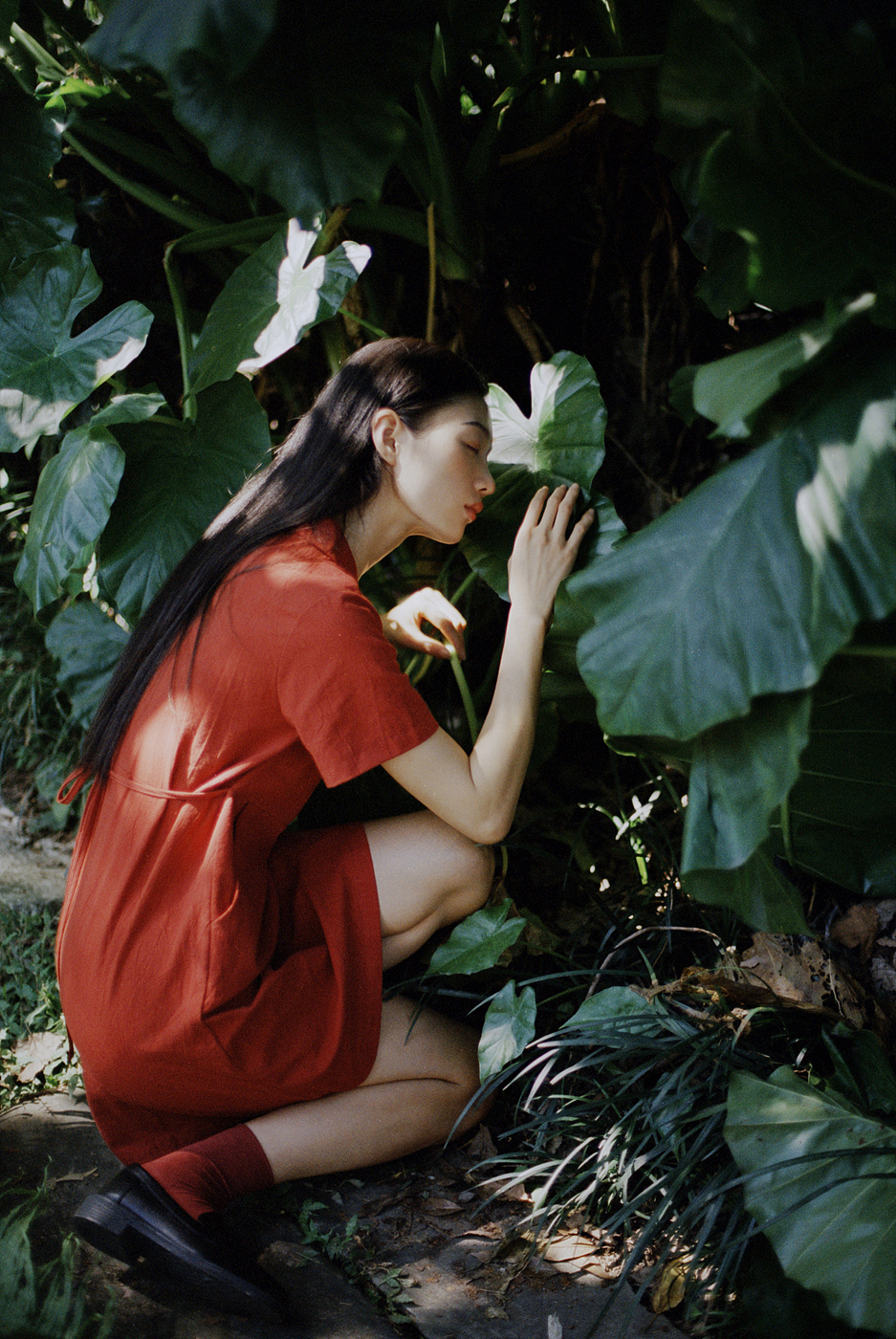 花儿（图ZMzE1NjM0ODQ4） - 人像摄影 - 站酷设计师浮光Discrete原创素材 - 站酷ZCOOL