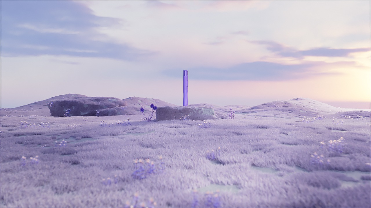 自拍杆三维视频