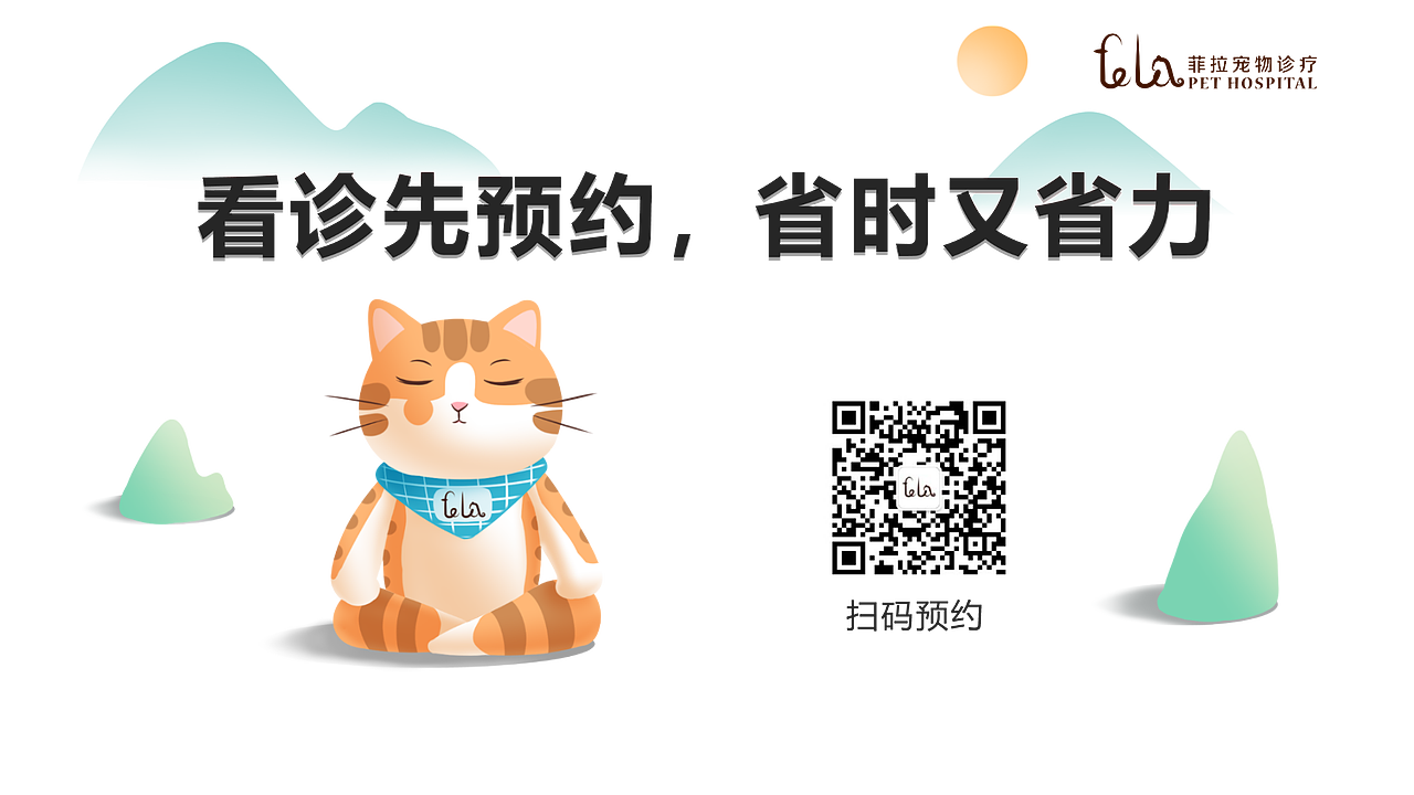 工作输出海报合集（图ZMzcwNTc1NDQ0） - 商业插画 - 站酷设计师小韦子哉原创素材 - 站酷ZCOOL