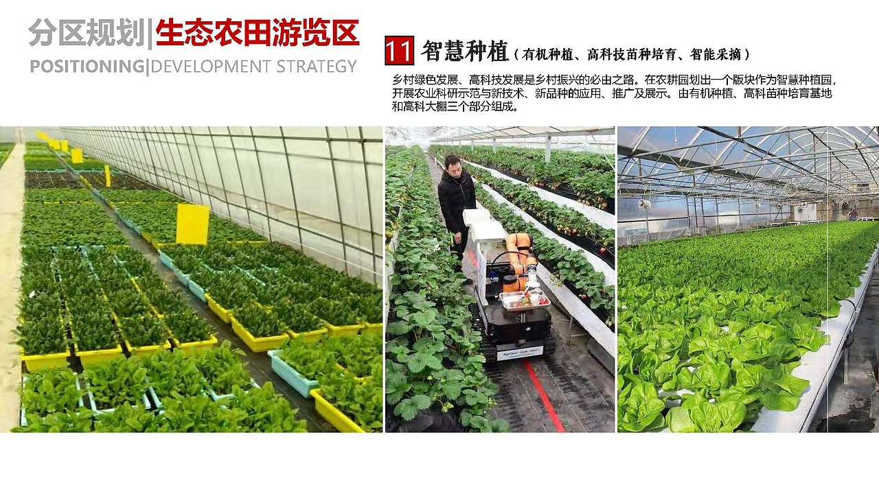 于都梓山镇农文旅项目山峰坝农业公园乡村振兴规划方案（图ZMzE1ODMwOTQ0） - 景观设计 - 站酷设计师诧迹景观原创素材 - 站酷ZCOOL