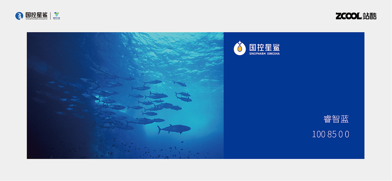 凭“星”而来 “鲨”耀新生——品牌焕新