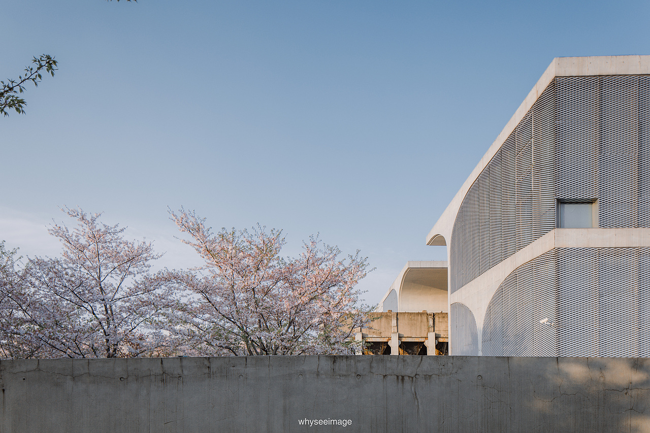 一片樱花在龙美旁落下 | 魔都建筑奇谭记（图ZMzAwODA1OTY0） - 环境/建筑摄影 - 站酷设计师whyseeimage原创素材 - 站酷ZCOOL