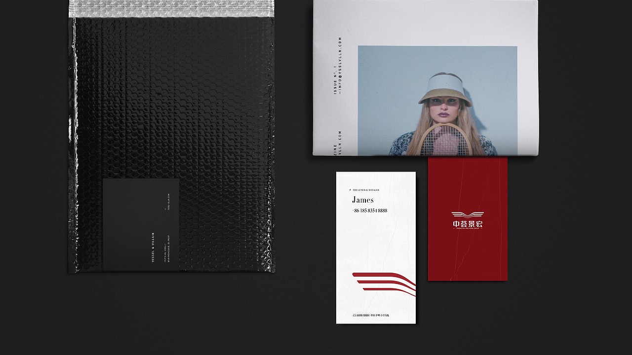 景宏自贸中心VI提案（已落地）