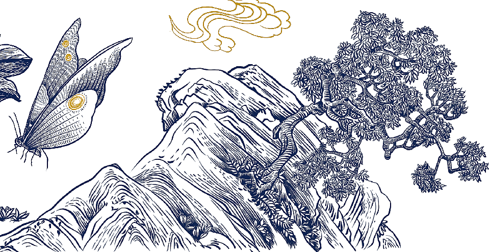 牡丹亭铜版画,牡丹酒,牡丹茶,化妆品包装插画设计