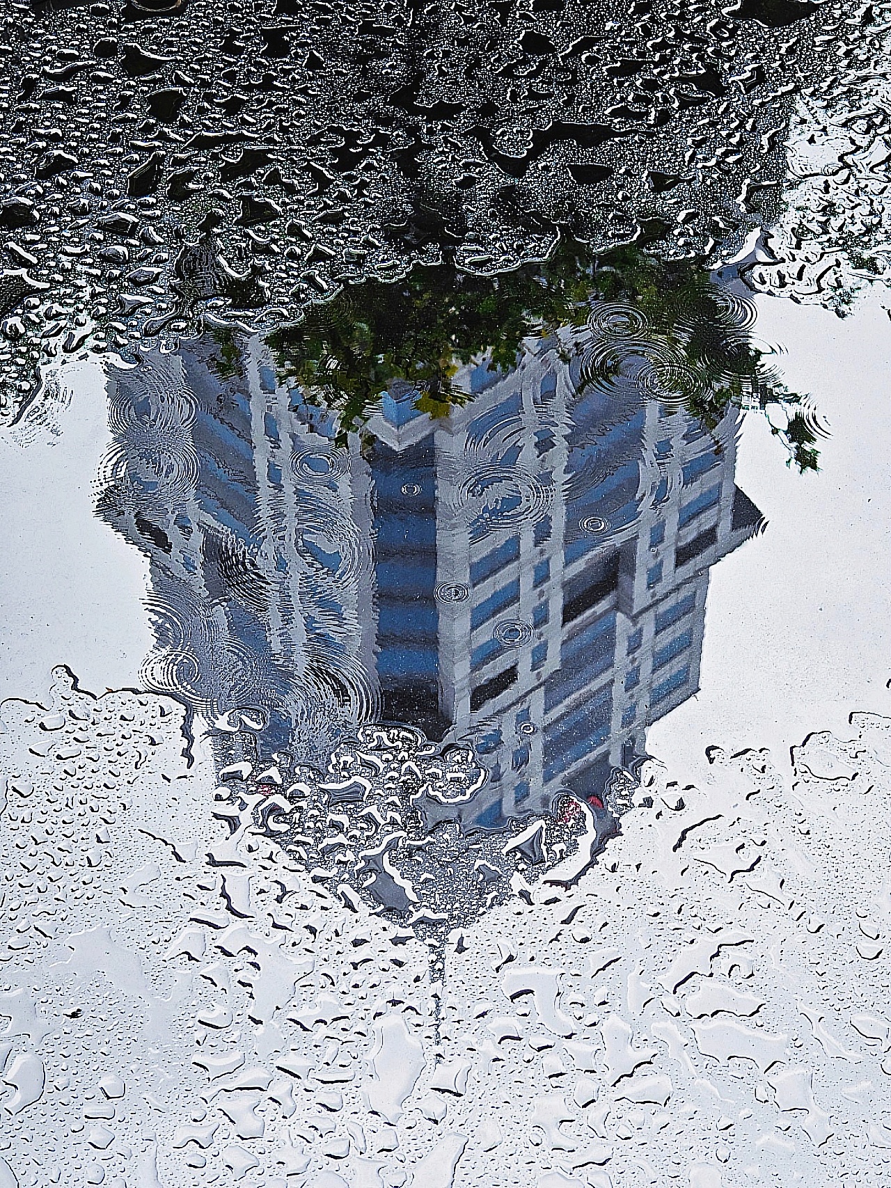 街头摄影 I 随手拍