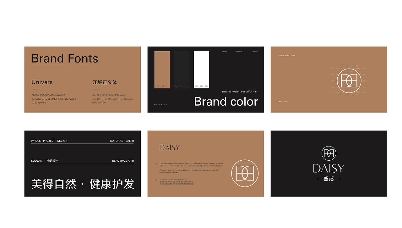 【DAISY黛溪】- 洗护品牌设计