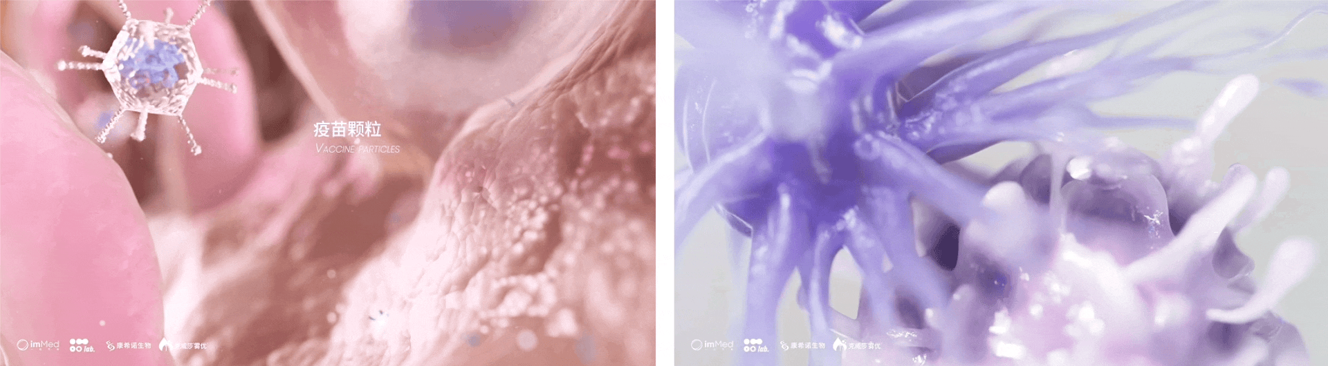 康希诺吸入式疫苗项目展示