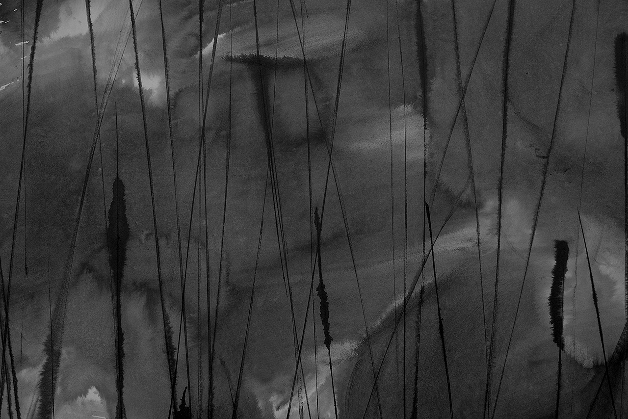 丽泽兑乐 | 墨之自然 & 色之万象