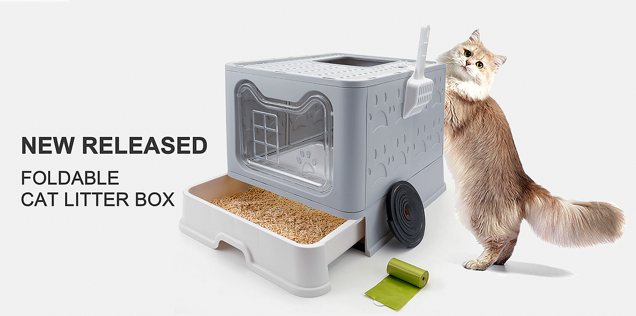 亚马逊跨境电商产品摄影视觉设计 平面设计主图详情页