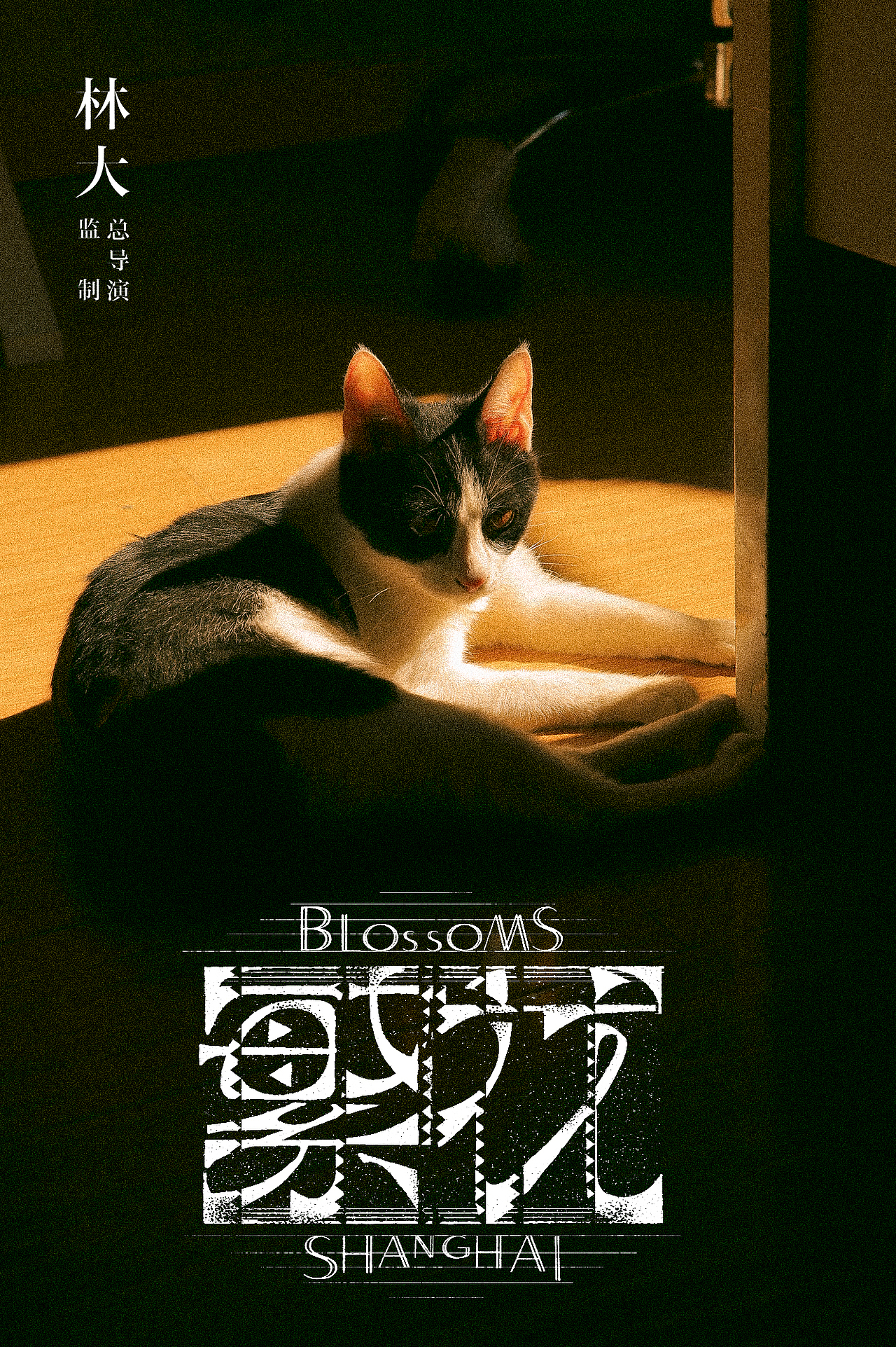 我的奶牛猫（图ZMzYxODk1NDc2） - 宠物摄影 - 站酷设计师叙语原创素材 - 站酷ZCOOL
