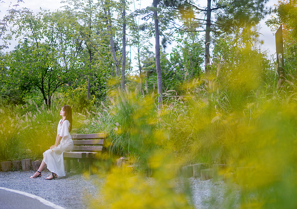 爱丽丝梦游仙境