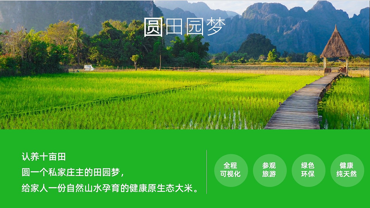 商业策划书 农业 种植（图ZMzAyMjY1MTAw） - PPT/Keynote - 站酷设计师PPT设计帮原创素材 - 站酷ZCOOL