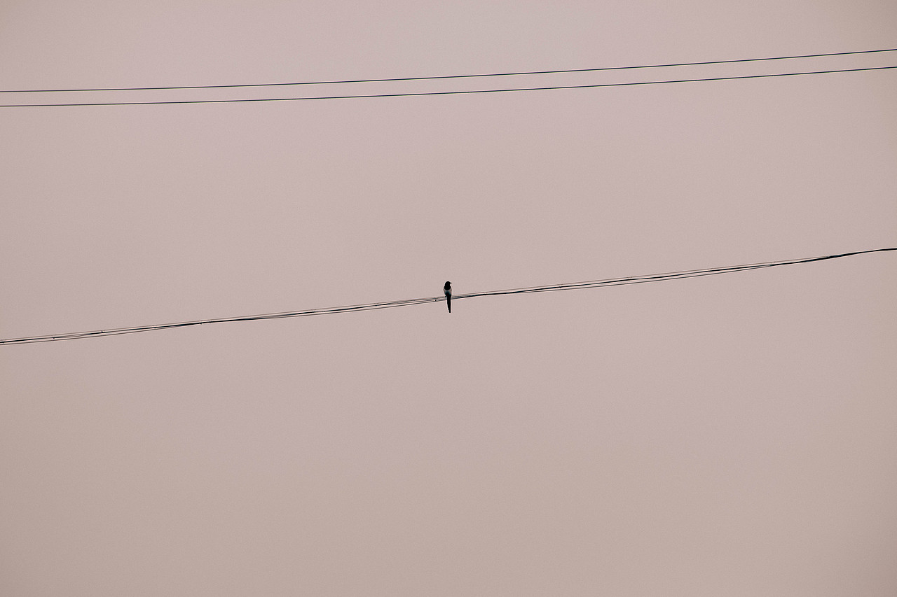 闲了拍着玩（图ZMzU3MDA0ODM2） - 风光摄影 - 站酷设计师南翊丶原创素材 - 站酷ZCOOL