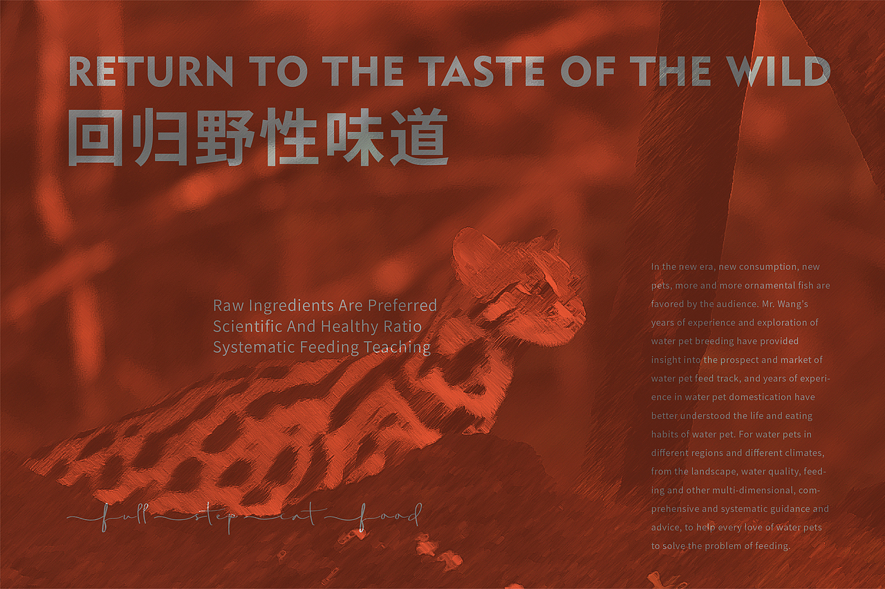 三只小鱼-全阶猫粮(图ZMzY5OTY5ODEy) - 包装 - 站酷设计师远见品牌设计原创素材 - 站酷ZCOOL