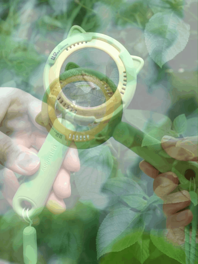 产品摄影|儿童玩具（图ZMzI4NjExNTAw） - 产品摄影 - 站酷设计师王大喵爱拍照呀原创素材 - 站酷ZCOOL