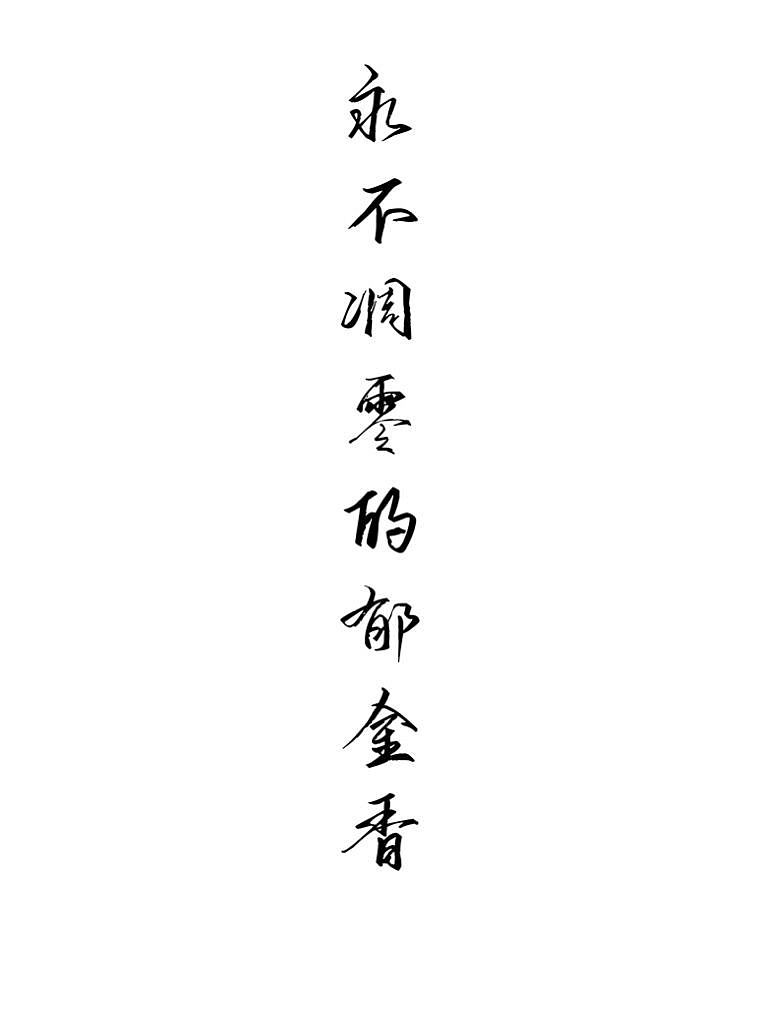 永不凋零的郁金香（图ZMzExNDkwMTA4） - 其他 - 站酷设计师铲屎官哈哈哈哈原创素材 - 站酷ZCOOL