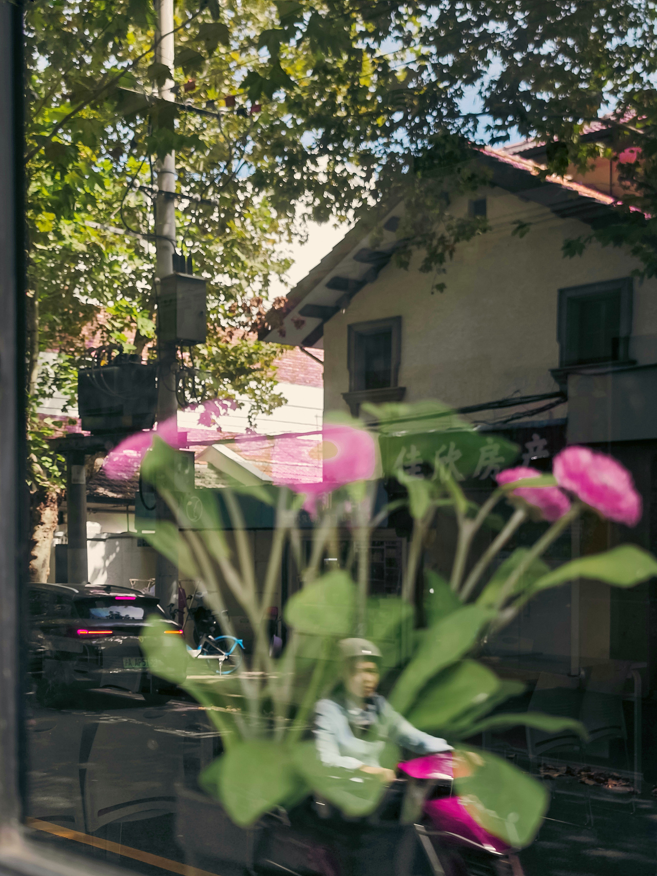 手机摄影citywalk I 南昌路