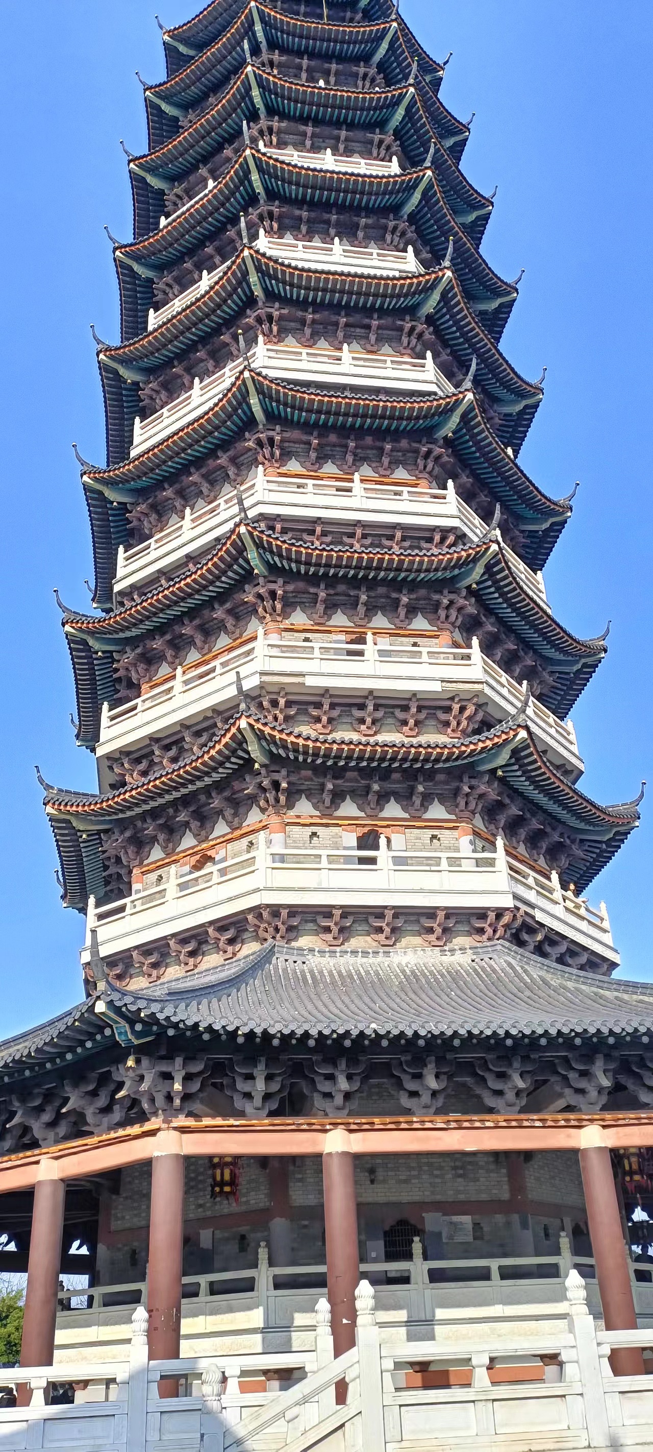 致这美丽的世界