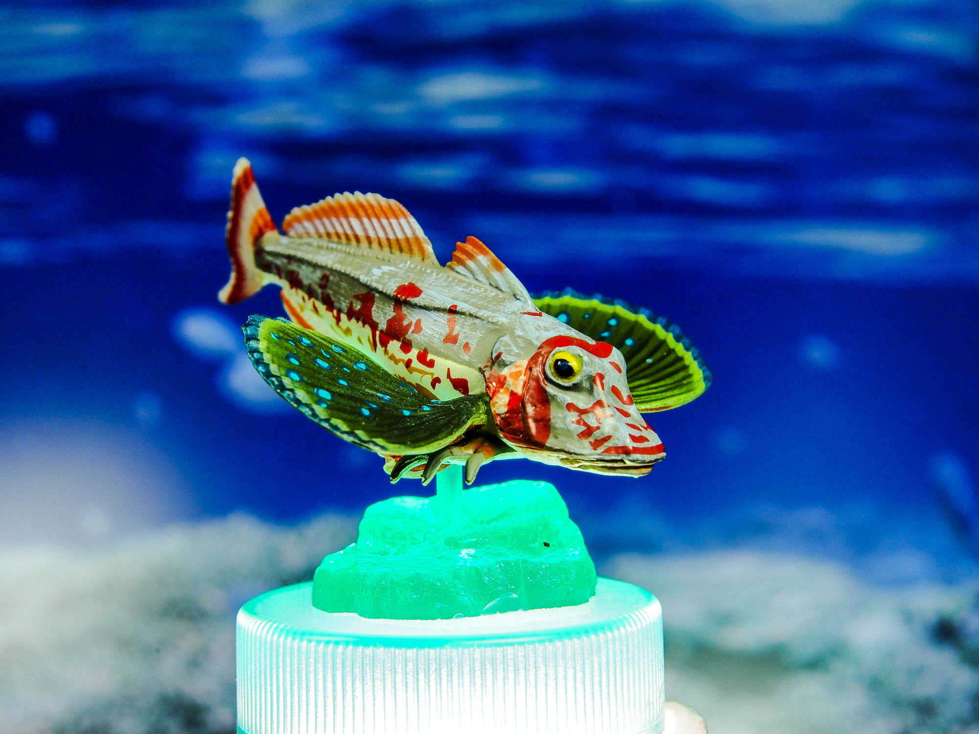 【摆拍】【kaiyodo】【玩玩具学姿势】 海洋堂 黑潮海洋动物第二弹