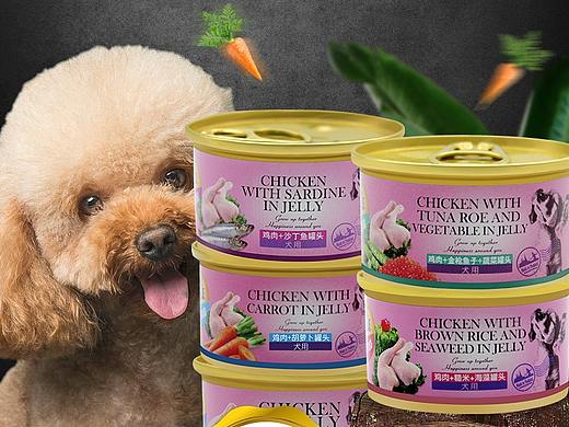 雅思乐狗罐头