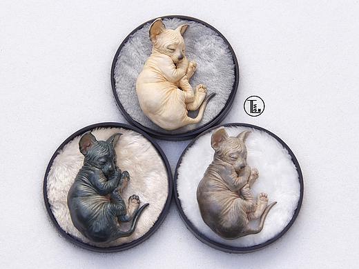 我的动物系列-小猫家族之梦美