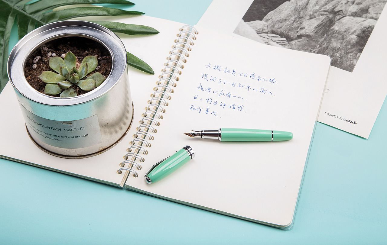 喜欢是乍见之欢regal钢笔