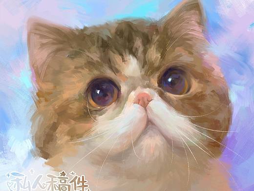 大脸猫大脸猫爱吃鱼