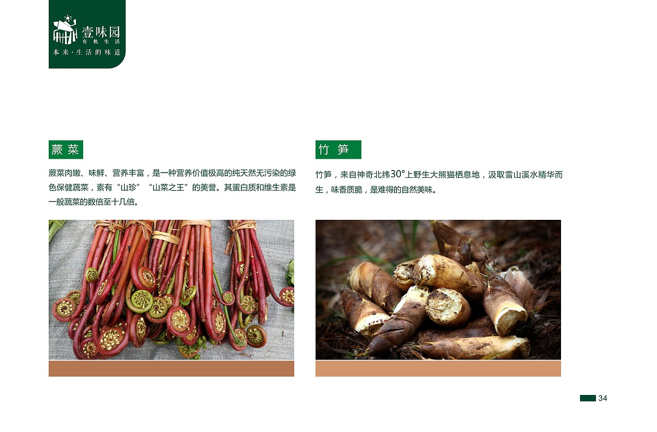 一本绿色食品的电子画册，不足之处欢迎指教。（图ZMjc0NjczNzI=） - 书籍/画册 - 站酷设计师wangtong20原创素材 - 站酷ZCOOL