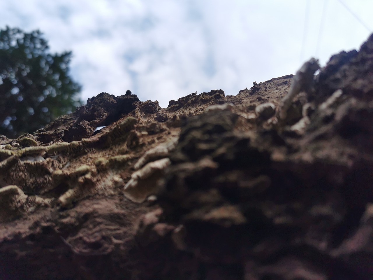 行走的趣图,手机拍摄