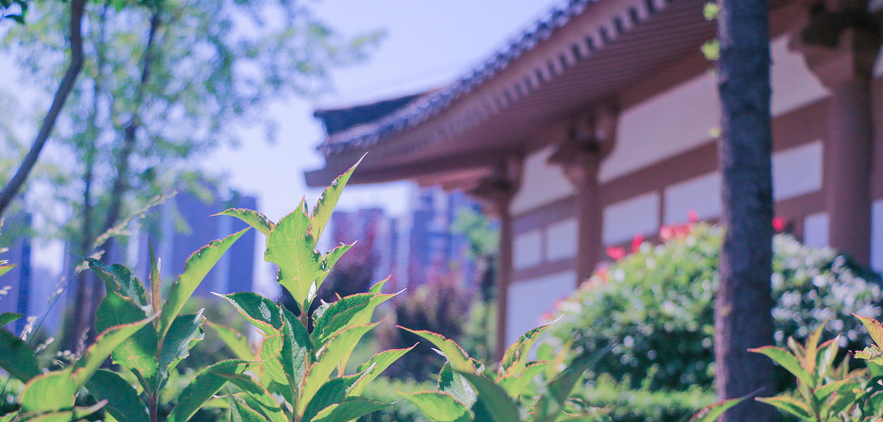 古色（图ZNDk5NDYyOTI=） - 其他摄影 - 站酷设计师Walker_Man原创素材 - 站酷ZCOOL