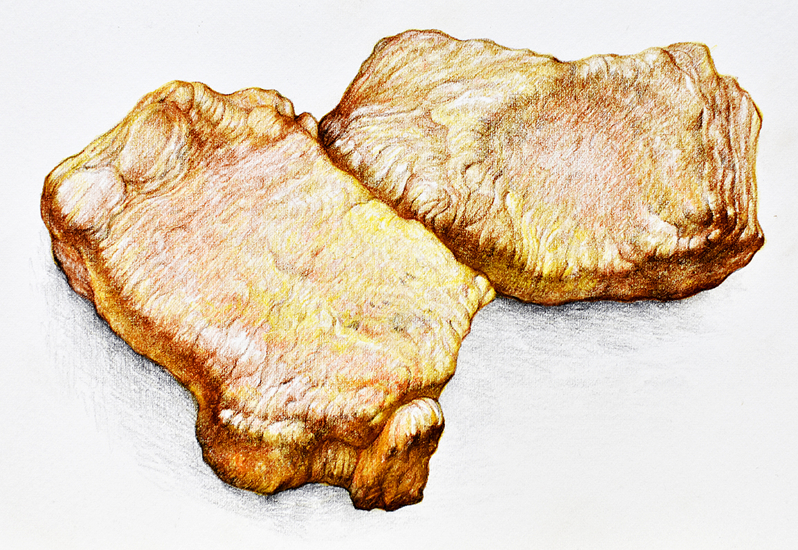 小东西练习随手画,水彩和彩铅