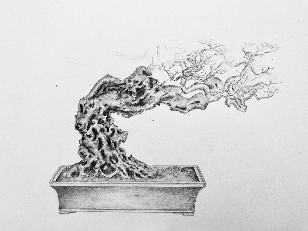 手绘盆景（图ZMTUxMTI0OTUy） - 像素画 - 站酷设计师Z75835907原创素材 - 站酷ZCOOL