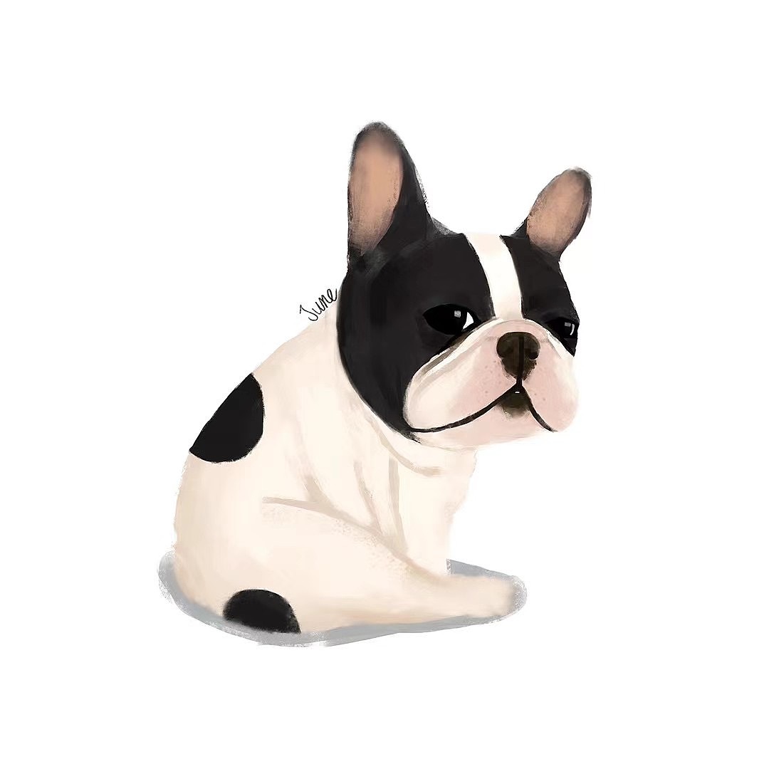 法斗兄弟团（图ZMjY2NTc1MTYw） - 创作习作 - 站酷设计师bybeans原创素材 - 站酷ZCOOL