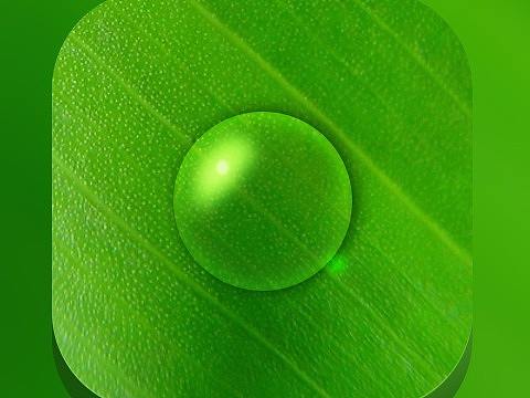 叶子（微质感）