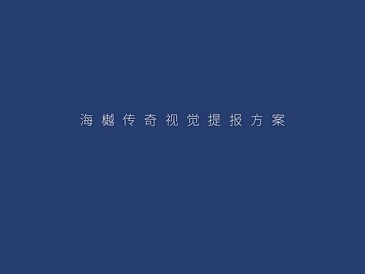 海樾传奇视觉提报方案