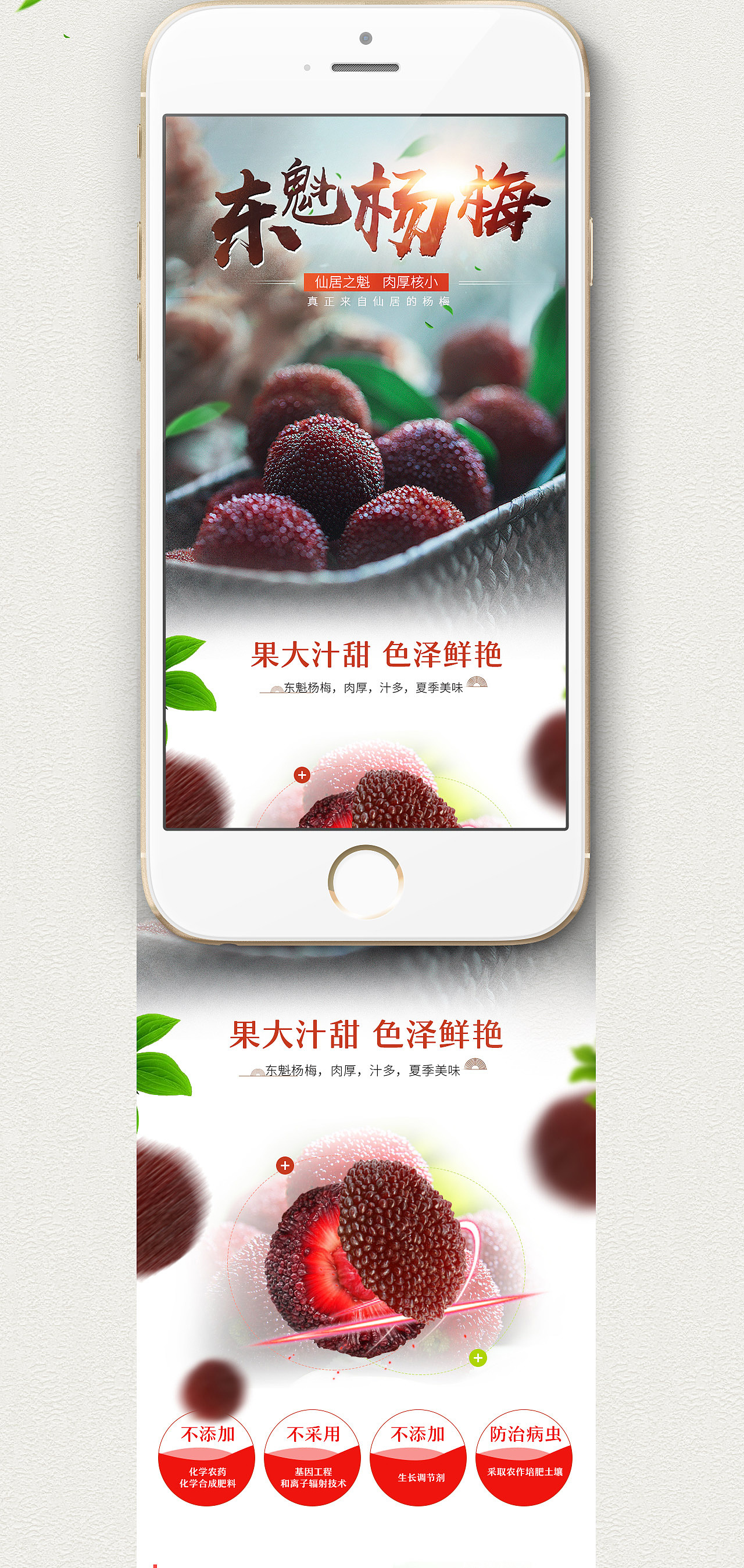 仙居杨梅水果专题 DESIGN（图ZMTExNTkyNDY4） - 电商 - 站酷设计师ZEVeNe原创素材 - 站酷ZCOOL