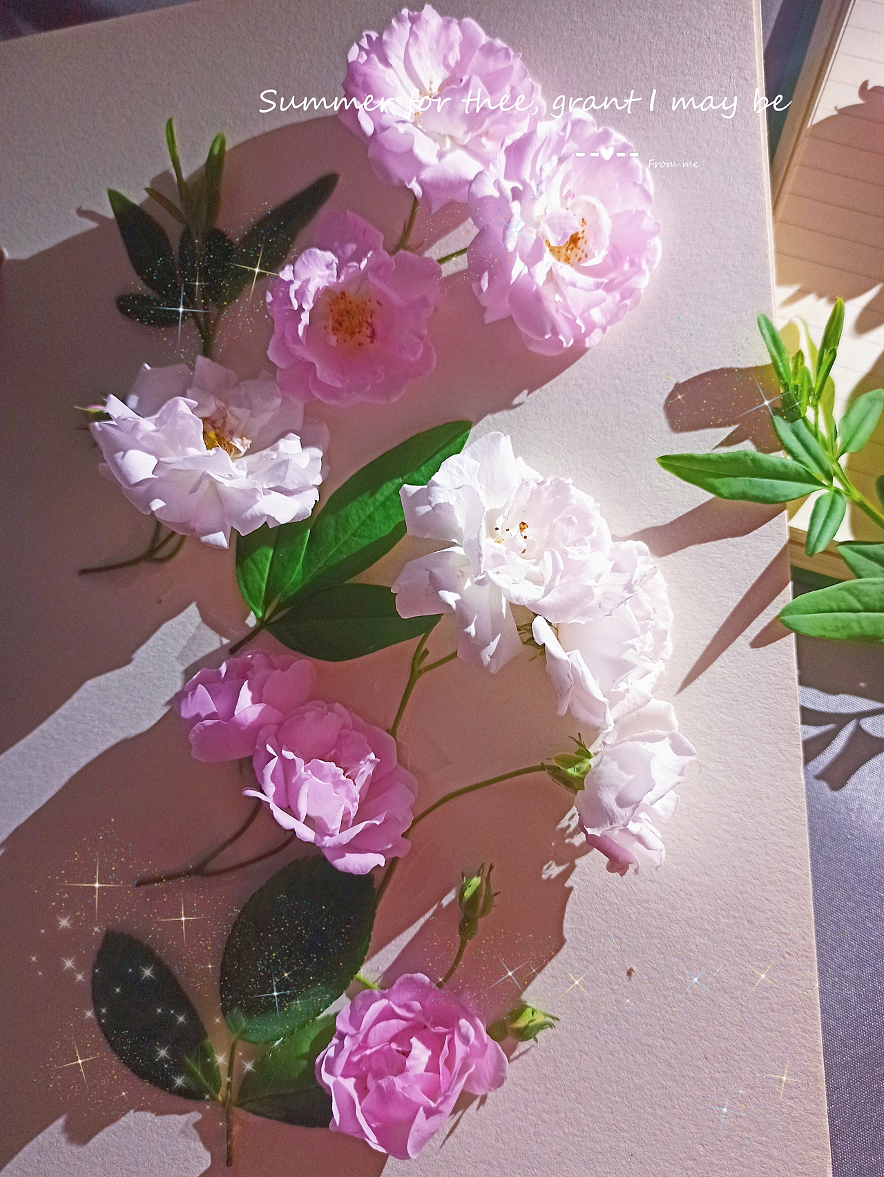 只为这一场花开（图ZMzAxMTc2NTg4） - 其他摄影 - 站酷设计师shimmerww原创素材 - 站酷ZCOOL