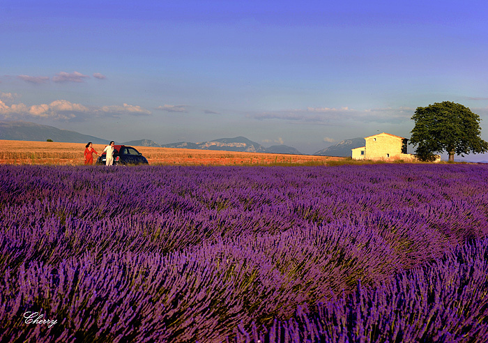 从巴黎拥吻到尼斯|摄影|游记|cherry飞鸟-许稚敏