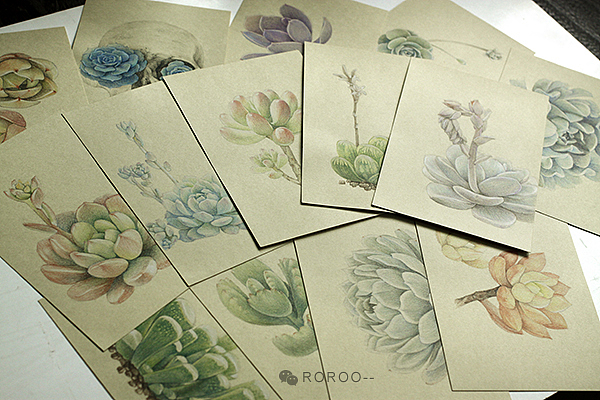 手绘多肉植物4（图ZMTkzMDAyMjg=） - 商业插画 - 站酷设计师Airlsa原创素材 - 站酷ZCOOL