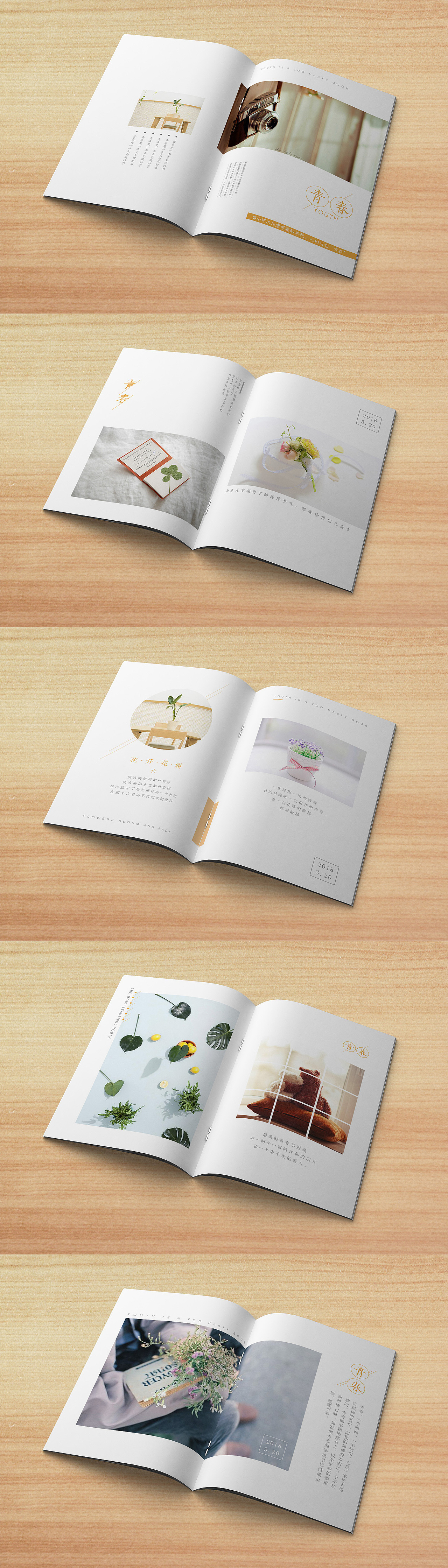 ‘’画册-青春（图ZMTA4NjIwNzg4） - 书籍/画册 - 站酷设计师像个笑话i原创素材 - 站酷ZCOOL