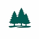 小森林Forest的头像