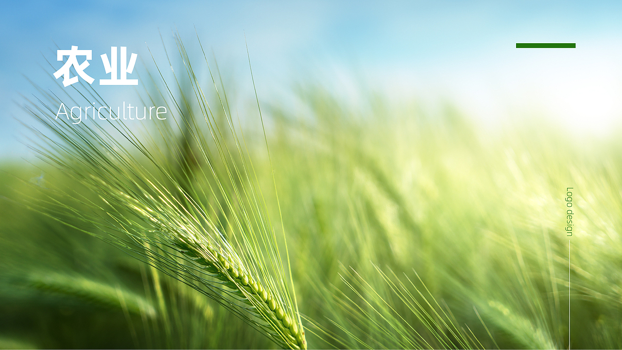 农产品区域品牌logo设计