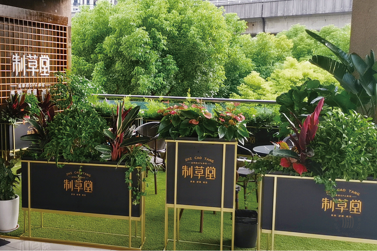 火力创新+制草堂=全草药SPA体验（图ZMjc1OTk4MDY0） - 品牌 - 站酷设计师火力原创素材 - 站酷ZCOOL