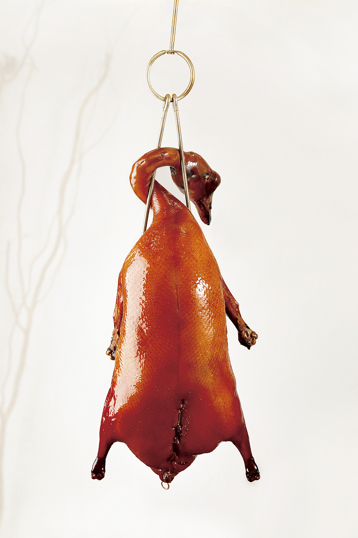 稻香酒家菜品升级拍摄（图ZMTc1MjcwNTYw） - 产品摄影 - 站酷设计师大墨无痕文化传播原创素材 - 站酷ZCOOL