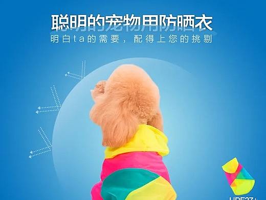 宠物防晒衣详情