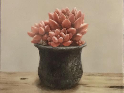 瓷板画《多肉》