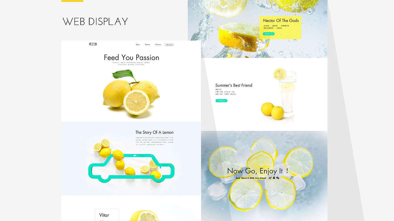 果之源（图ZMTQ0NTU3ODky） - 其他网页 - 站酷设计师Lemon雷雷原创素材 - 站酷ZCOOL