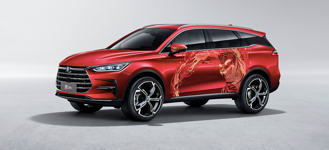 #王者之势  龙腾虎跃# 卧虎藏龙