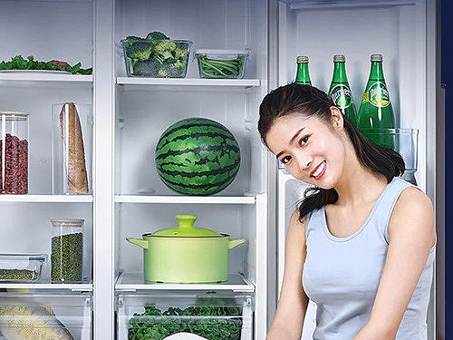 精巧尺寸对开门风冷冰箱