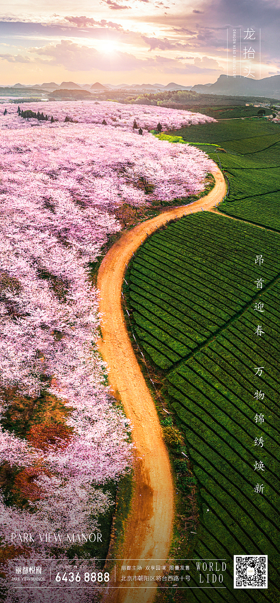 近期作品0100（图ZMjUyNTc2Nzc2） - 品牌 - 站酷设计师三俗的菜原创素材 - 站酷ZCOOL